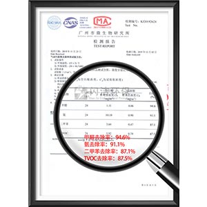 氣態(tài)污染物去除率檢測(cè)報(bào)告..
